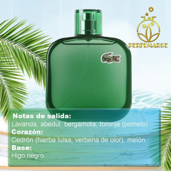 Eau de Lacoste L.12.12. Vert Lacoste Fragances 100 ML - Image 3