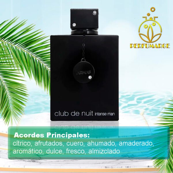 Club de Nuit Intense Man - Armaf 100 ML - Image 3