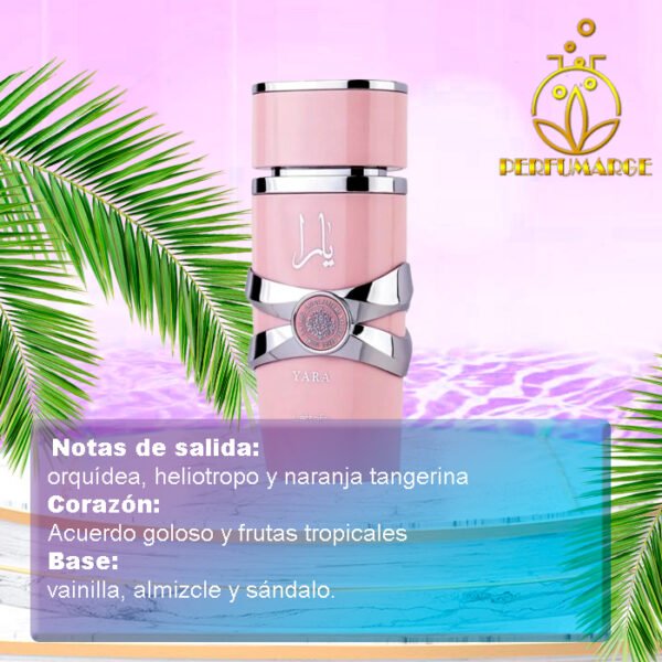 Yara - Lattafa 100 Ml - Image 3