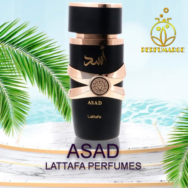 Asad - Lattafa Perfumes 100 ml - Image 2