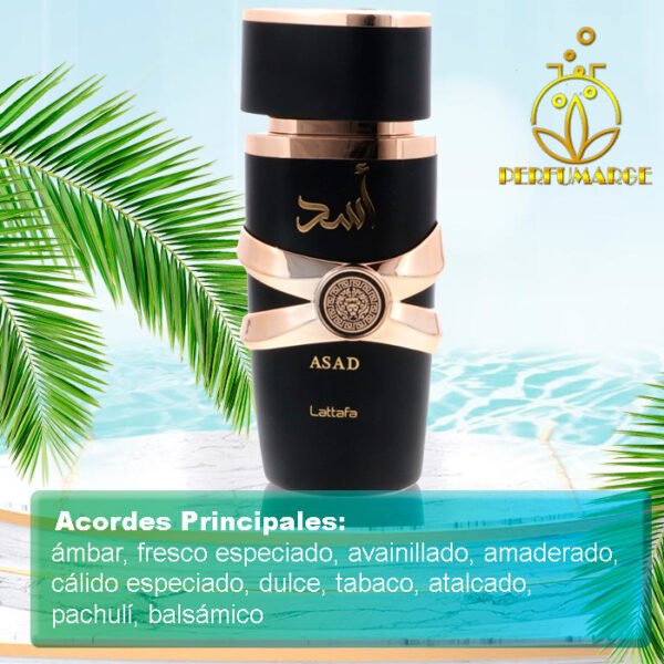 Asad - Lattafa Perfumes 100 ml - Image 3