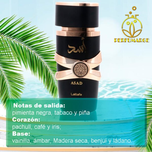 Asad - Lattafa Perfumes 100 ml - Image 4
