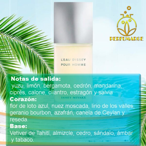 L'Eau d'Issey Pour Homme Issey Miyake - Image 4